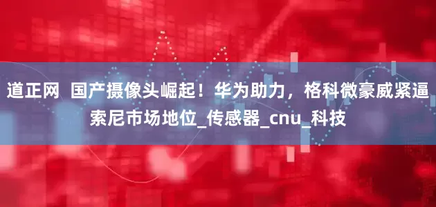 道正网  国产摄像头崛起！华为助力，格科微豪威紧逼索尼市场地位_传感器_cnu_科技