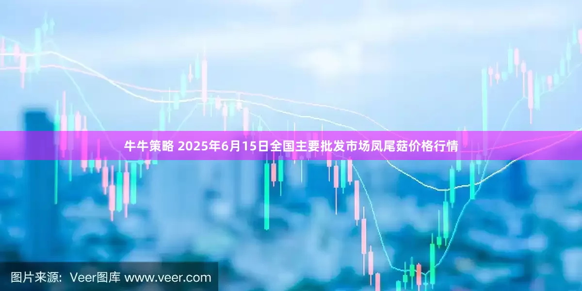 牛牛策略 2025年6月15日全国主要批发市场凤尾菇价格行情