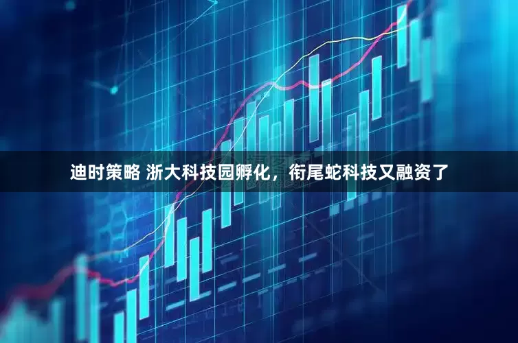迪时策略 浙大科技园孵化，衔尾蛇科技又融资了